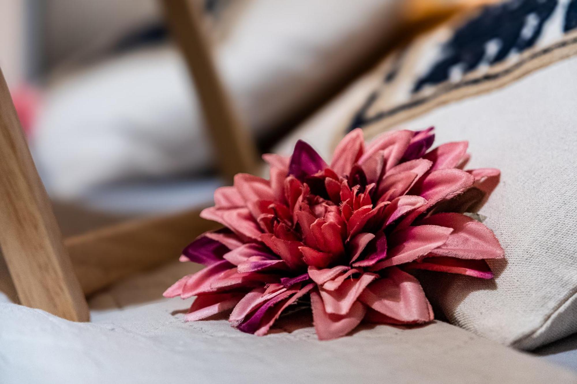 Bohemian Elly Room Varna Dış mekan fotoğraf